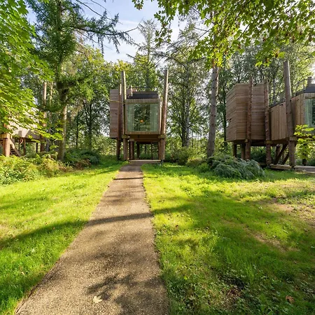Modern Retreat With Rooftop Tatil Evi *